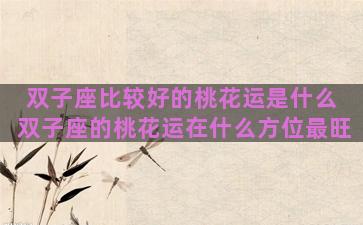 双子座比较好的桃花运是什么 双子座的桃花运在什么方位最旺